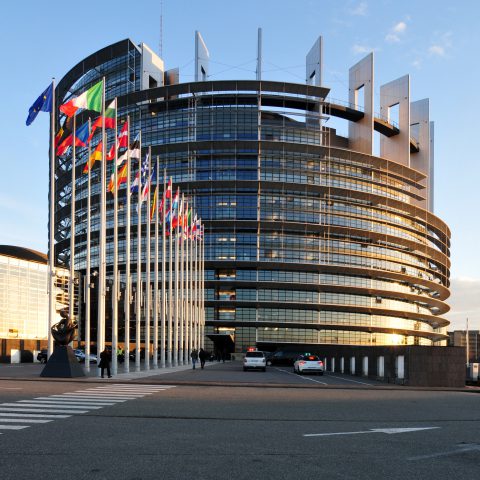 Het Europees Parlement in Straatsburg